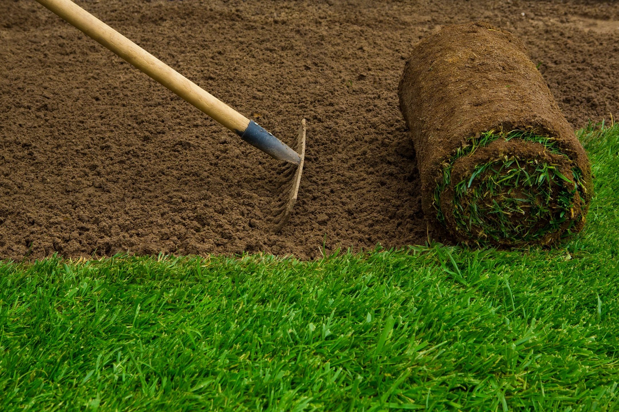 Sod Installation and Repair